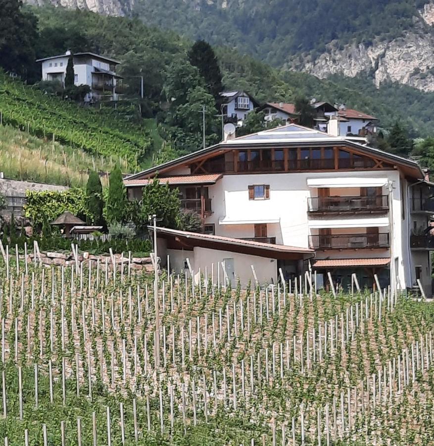 Апартаменти Bertoldihof Кортачча-сулла-Страда-дель-Віно Екстер'єр фото